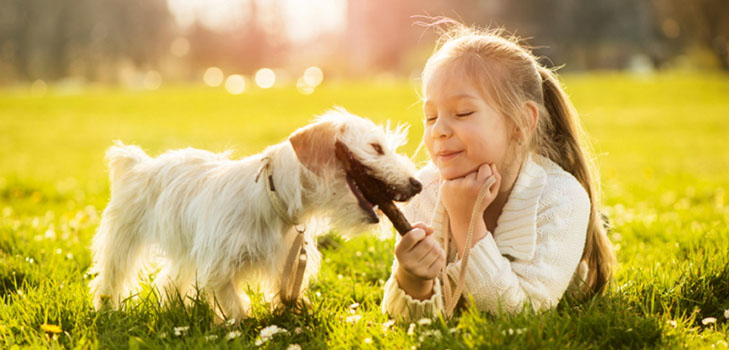 Alegria das crianças: quatro razões para ter um animal de estimação