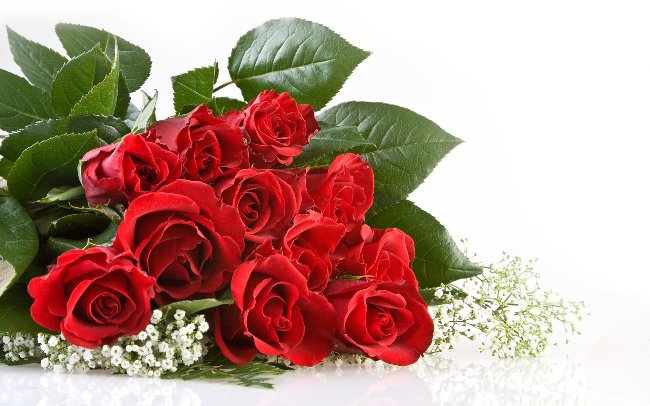 Poemas para minha mãe em 8 de março