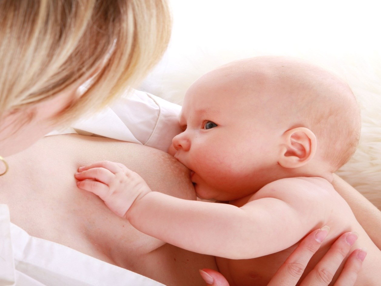 a mãe alimenta o bebê