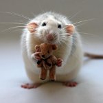 Doenças de ratos