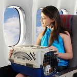 Transporte de animais no avião Transporte de animais no avião