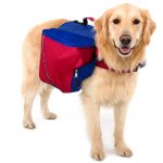 Mochila para um cachorro Mochila para um cachorro