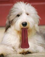 Por que precisamos de brinquedos para cães?