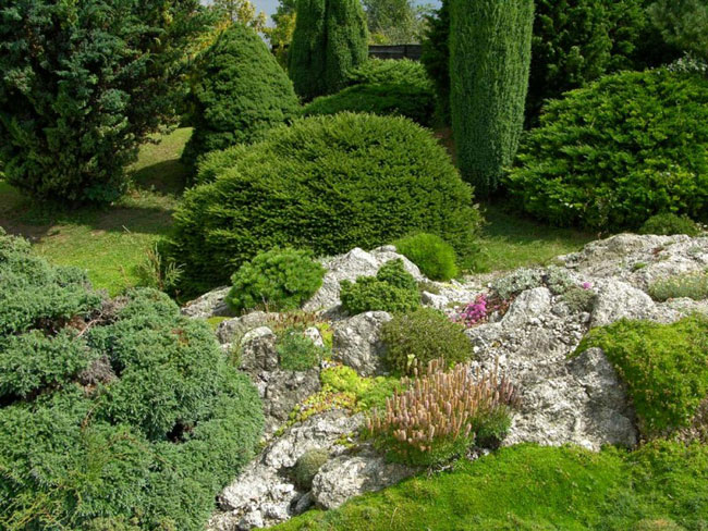 Rock Garden em seu site