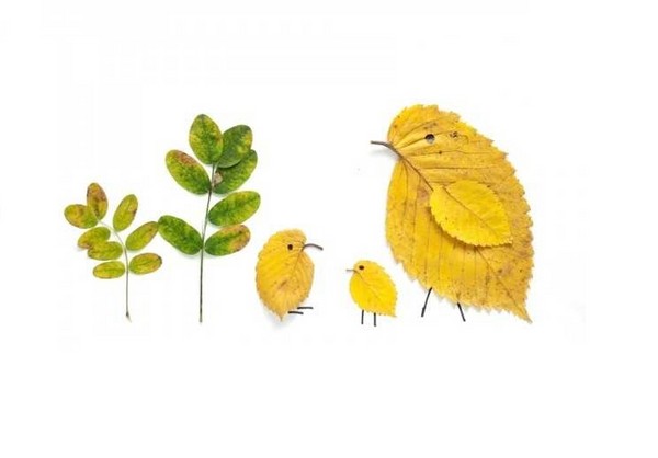 Applique de folhas de outono para o jardim de infância e 1-2 aulas de escola, aulas de mestrado com foto e vídeo