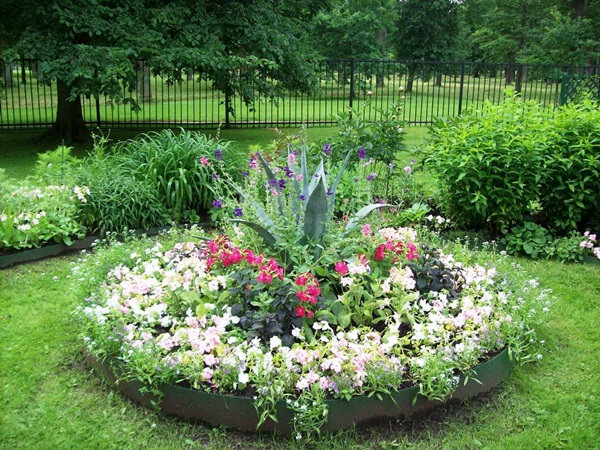 Flores bonitas para um canteiro de flores