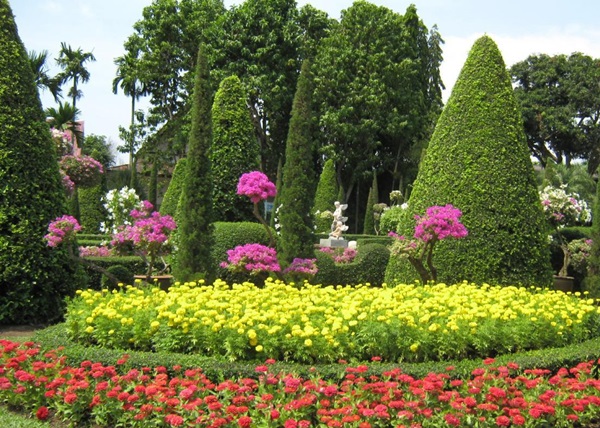 Flores bonitas para um canteiro de flores