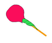 Flores de doces