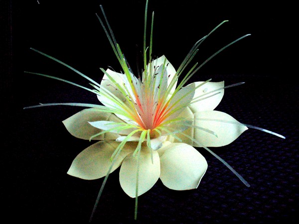 Flores de garrafas de plástico: uma aula principal para fazer artesanato em plástico com as próprias mãos