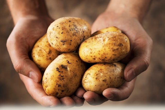 Como armazenar batatas no inverno