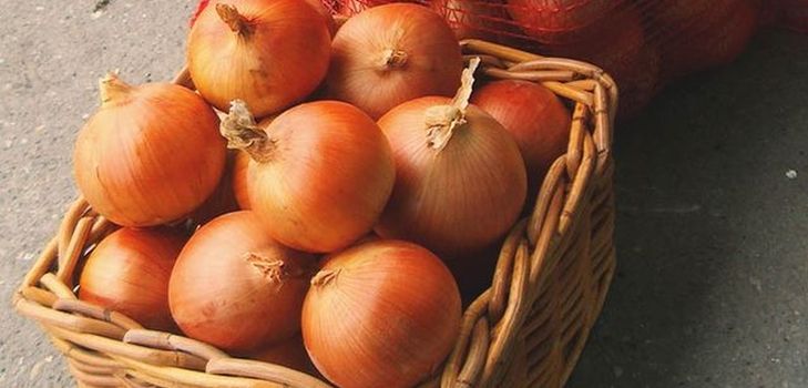 Armazenamento de cebola em casa no inverno