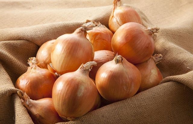 Armazenamento de cebola em casa no inverno