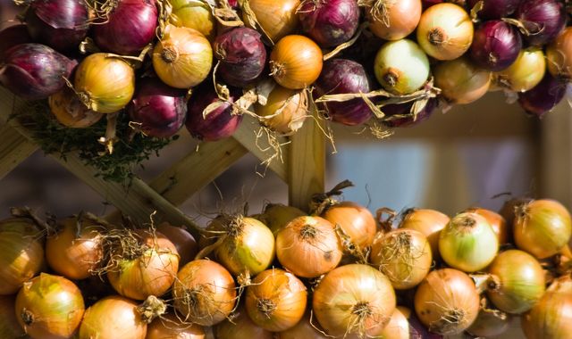 Armazenamento de cebola em casa no inverno