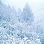 Como fotografar o inverno? Como fotografar o inverno?