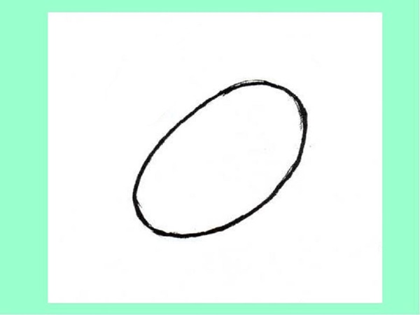Como desenhar um pássaro por etapas com um lápis