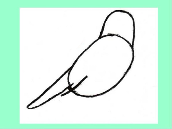 Como desenhar um pássaro por etapas com um lápis