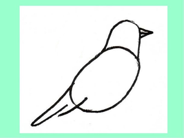 Como desenhar um pássaro por etapas com um lápis