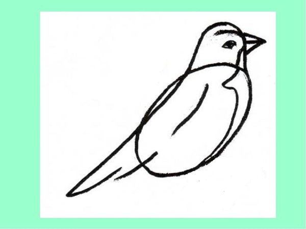 Como desenhar um pássaro por etapas com um lápis