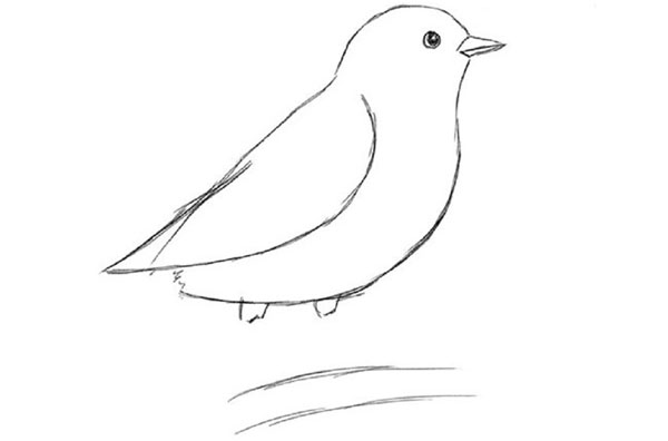 Como desenhar um pássaro por etapas com um lápis