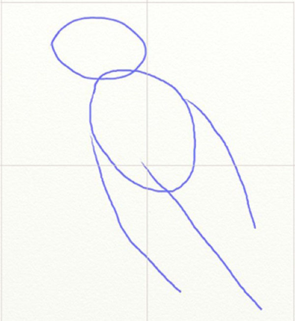 Como desenhar um pássaro por etapas com um lápis