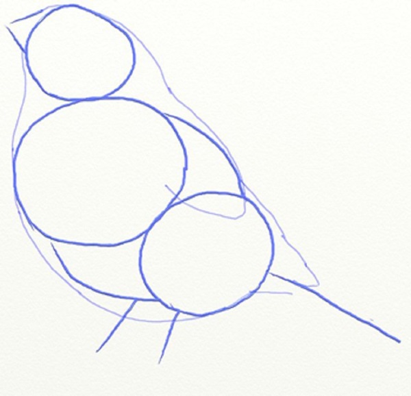 Como desenhar um pássaro por etapas com um lápis