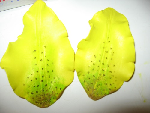 Lily de foamiran