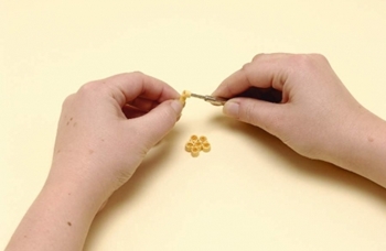 Quilling flores de papel para iniciantes