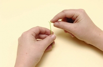 Quilling flores de papel para iniciantes