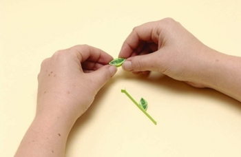 Quilling flores de papel para iniciantes