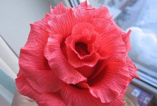 Rosas feitas de papel ondulado Rosas feitas de papel ondulado