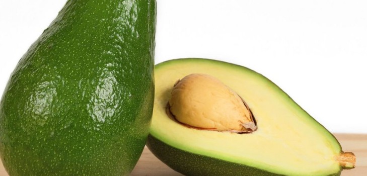 Como cultivar abacate de uma pedra