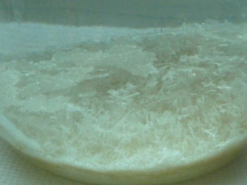 Cristal de sal em casa
