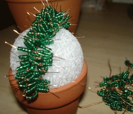 Cacto de mãos próprias