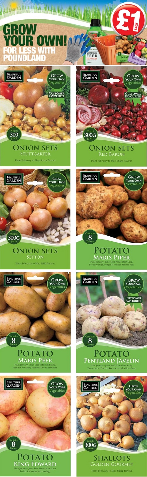 Mudas de batatas
