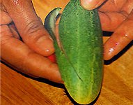 Esculpindo em vegetais e frutas?