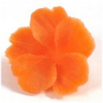 Esculpindo em vegetais e frutas?