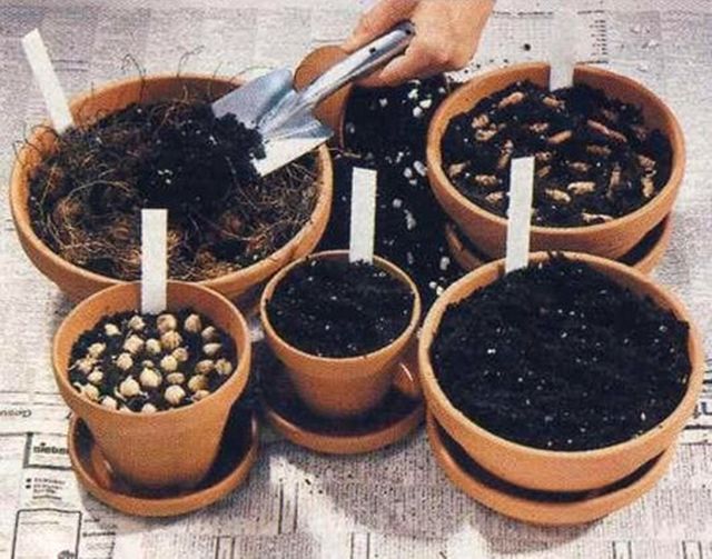 Cuidados de enfermagem