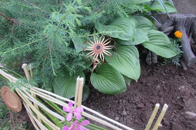 Cama de flor da videira com suas próprias mãos