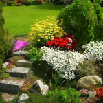 Contrastes no jardim