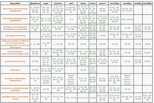 Calendário lunar do jardineiro hortícola em agosto de 2015