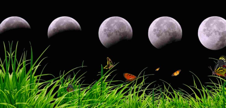 Camarão de calendário lunar para agosto de 2016 para a região de Moscou, a zona intermediária da Rússia, os Urais, Sibéria, Noroeste, Bielorrússia e Ucrânia