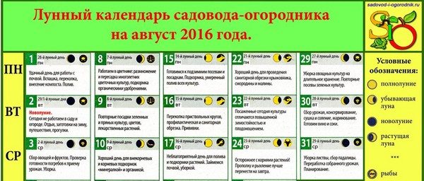 Camarão de calendário lunar para agosto de 2016 para a região de Moscou, a zona intermediária da Rússia, os Urais, Sibéria, Noroeste, Bielorrússia e Ucrânia