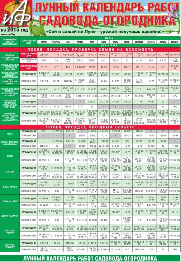 Calendário do jardineiro para julho de 2015