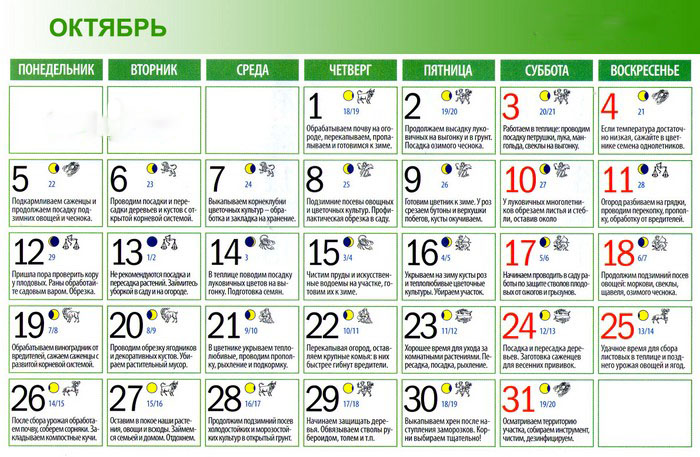 O calendário lunar do horticulturista-jardineiro em outubro de 2015