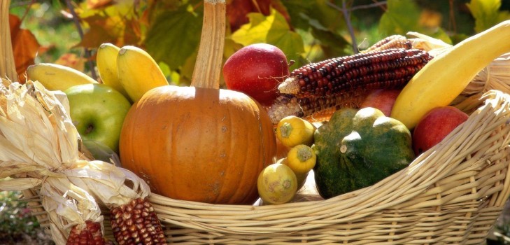 O calendário lunar do horticulturista-jardineiro em outubro de 2015