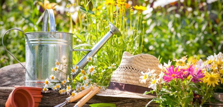 Calendário lunar do jardineiro-jardineiro em setembro de 2015