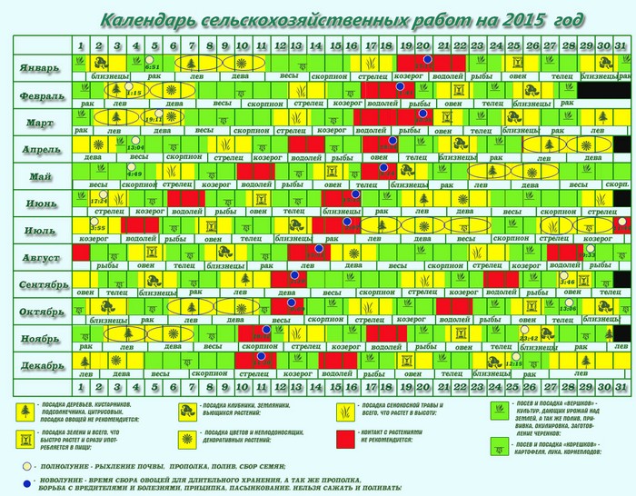 Calendário lunar do jardineiro-jardineiro em setembro de 2015