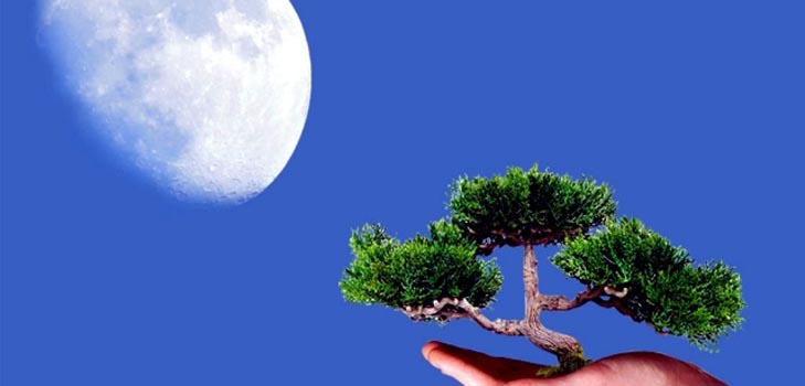 Calendário lunar do jardineiro e agricultor de camiões 2015