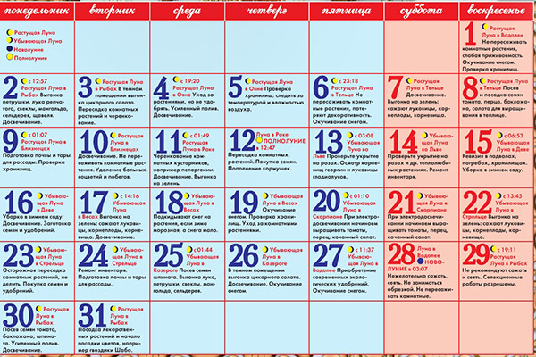 Calendário de semeadura lunar para janeiro de 2017 na mesa para jardineiros e agricultores de caminhões. Dias de plantação favoráveis ​​para tomates (tomates) para mudas lunares - 2017