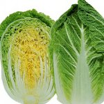 Repolho de Peking: cultivo